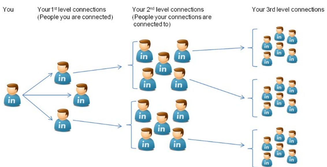 An image to illustrate 1st-degree connections on LinkedIn